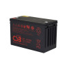 Maintenance-Free Sealed Lead Acid Battery CSBGP121000
