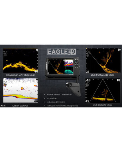 Lowrance Eagle Eye 9 000-16130-001