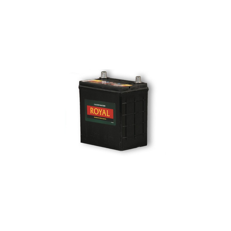 12 Volt 40 AH Semi Sealed Lead Calcium Stand-By Storage Battery by Royal; Delkor