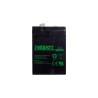 Forbatt 6 Volt 4-5AH Sealed Lead Acid AGM Battery