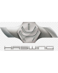 Haswing Motors